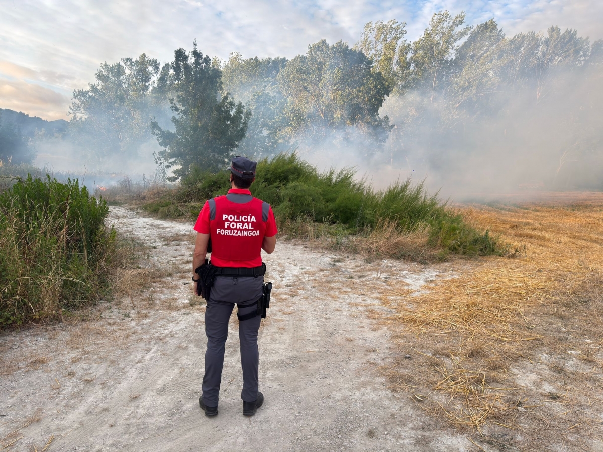 Un incendio entre Olaz y Huarte moviliza medios aéreos  