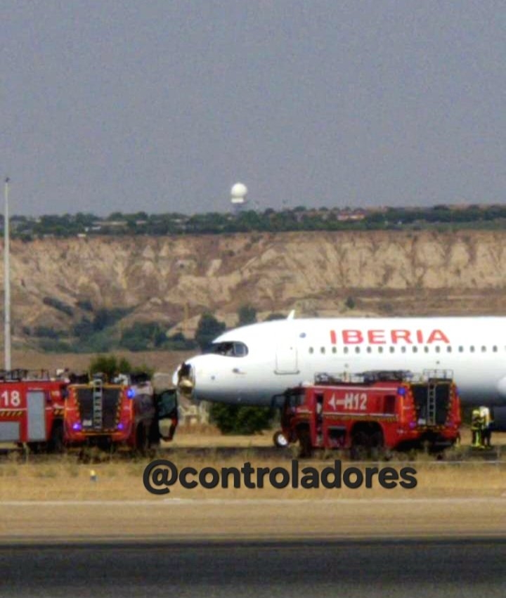 Un impacto de ave obliga a regresar de emergencia a un vuelo Madrid-París: Barajas activa el protocolo de seguridad