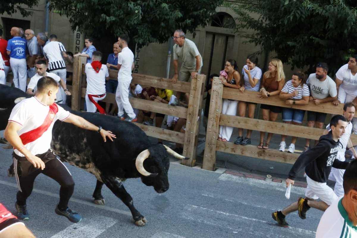 [GALERIA] Primer encierro de fiestas de Tafalla, con toros del Conde de la Corte