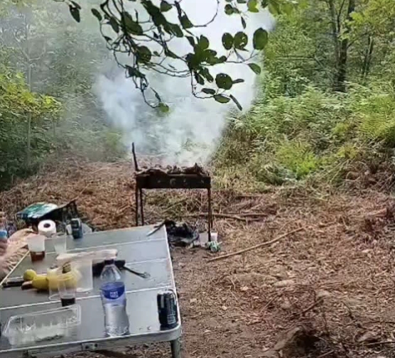 Policía Foral sorprende a 'domingueros' haciendo barbacoas en el medio natural en Goizueta, Cortes y Lekunberri