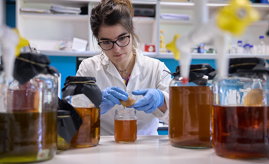 Iranza Zalba Larruy, estudiante de doctorado, trabaja en el laboratorio del área de tecnología de alimentos, donde se dedica al desarrollo de nuevos alimentos utilizando técnicas fermentativas. - 