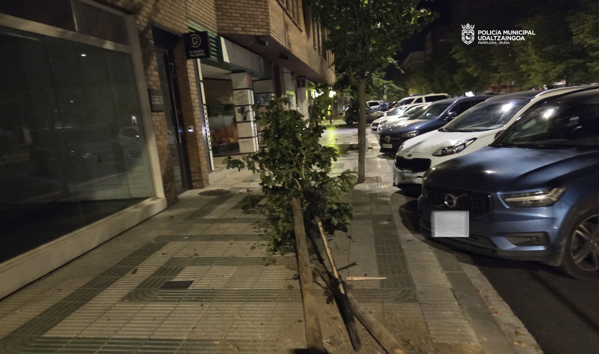 Se estampa ebrio contra dos árboles y derriba tres vallas tras perder el control del vehículo en la calle Esquíroz
