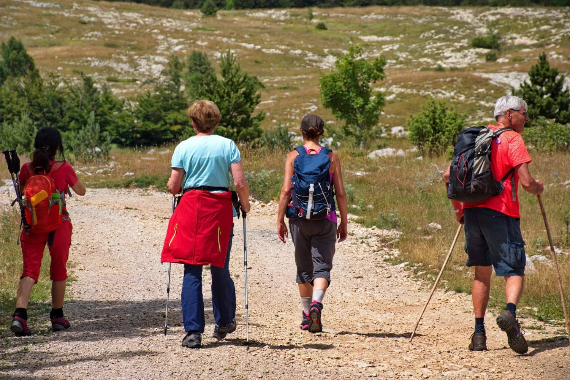 Detenido en Hondarribia un hombre de 76 años por cometer varios abusos sexuales a peregrinas del Camino de Santiago