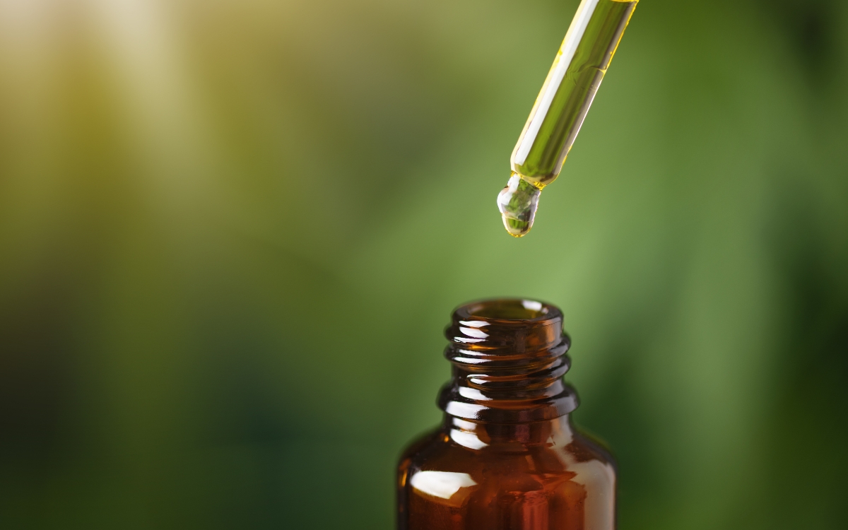 Comprar CBD en el norte de Navarra ¿Dónde comprar mejor calidad precio?