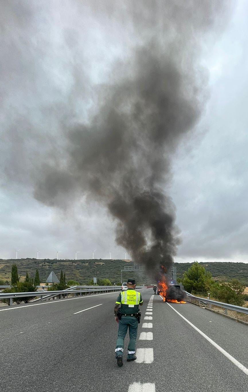 La Guardia Civil atiende el incendio de un turismo en la A-12, en Legarda
