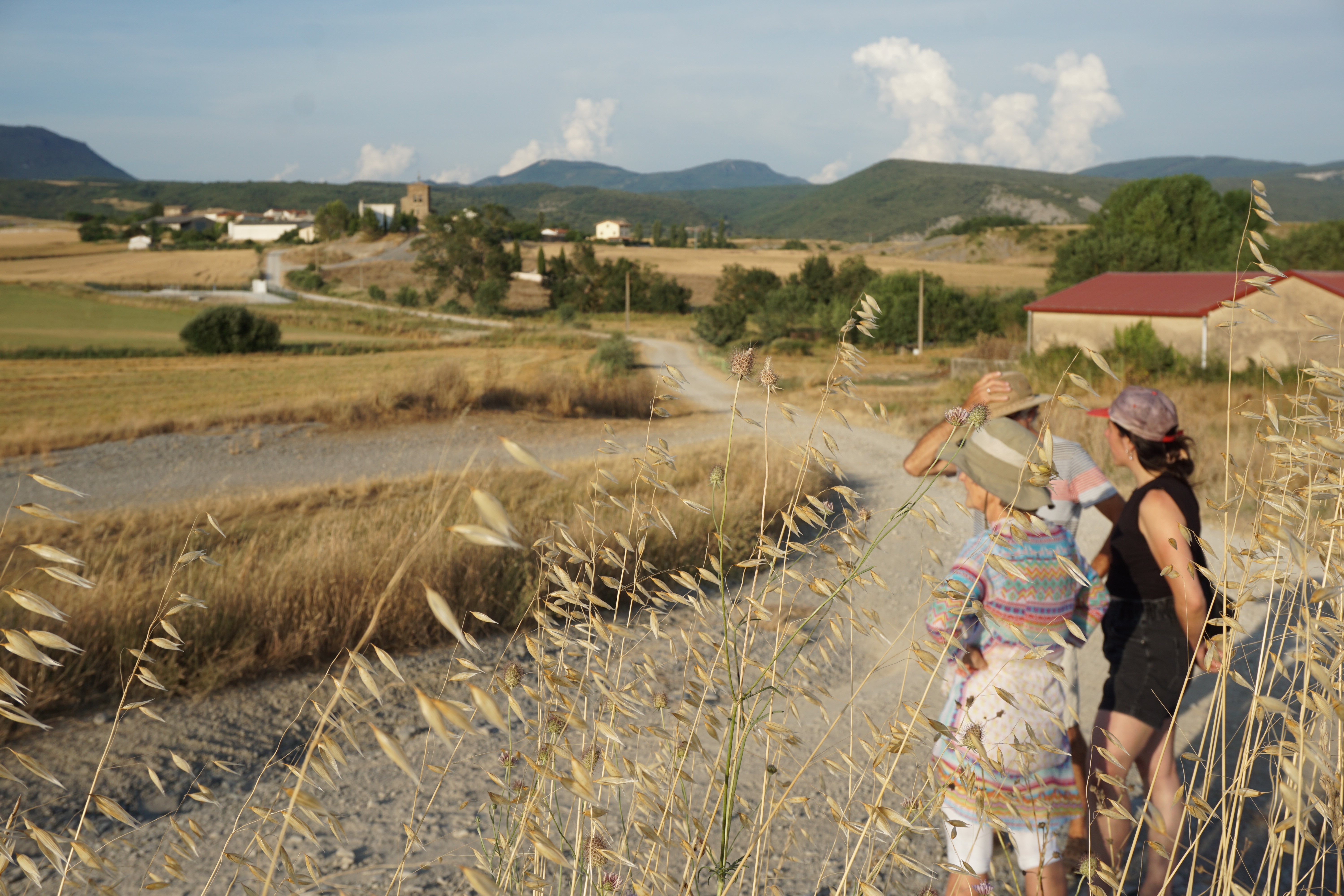Landarte 2025: la creatividad contemporánea toma el medio rural navarro