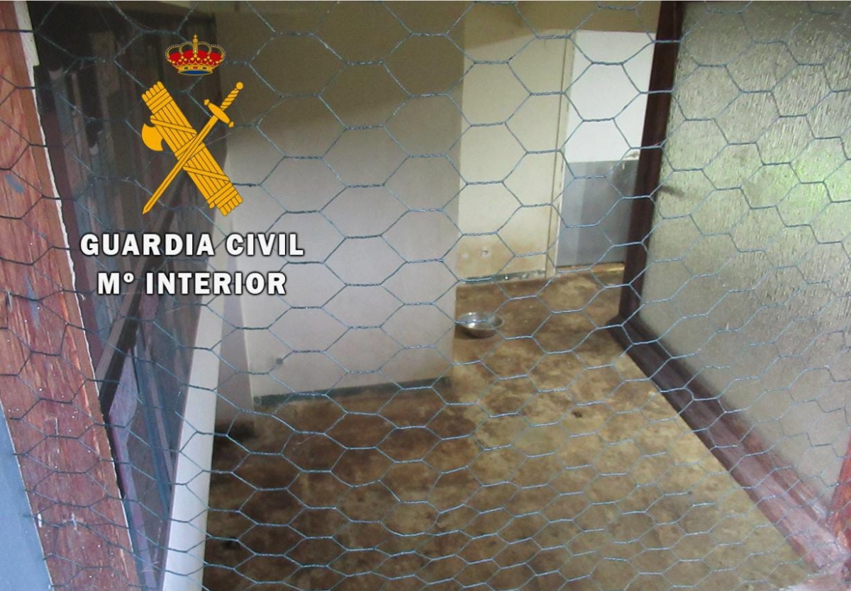 Clausurado un centro de cuidado de animales en Zizur por operar sin licencia y con graves deficiencias