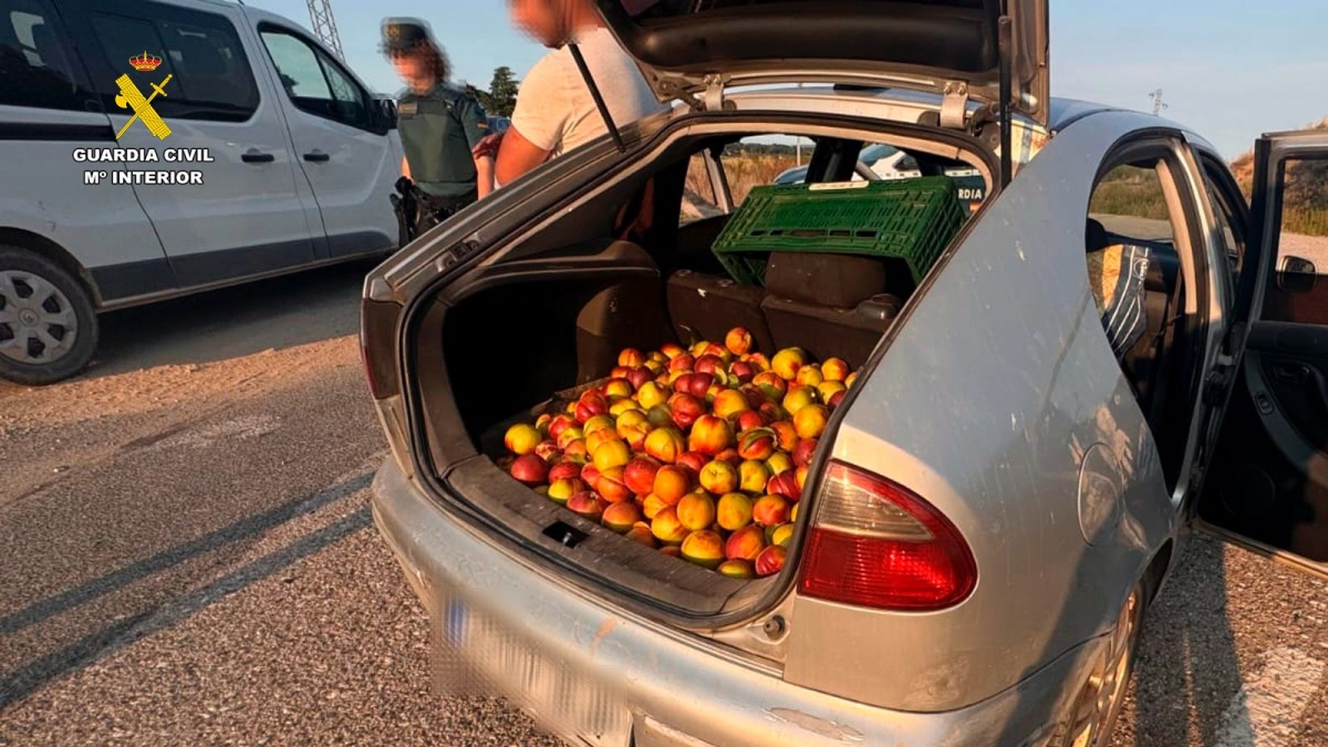 La Guardia Civil investiga a un vecino de Lodosa por el hurto de 140 kilos de nectarinas en La Rioja