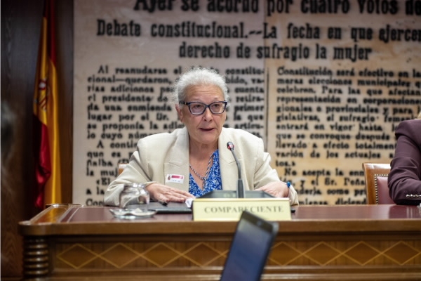 Pano se acoge al silencio en el Senado sobre la trama de Koldo-Ábalos tras ratificar que entregó 90.000 euros en Ferraz