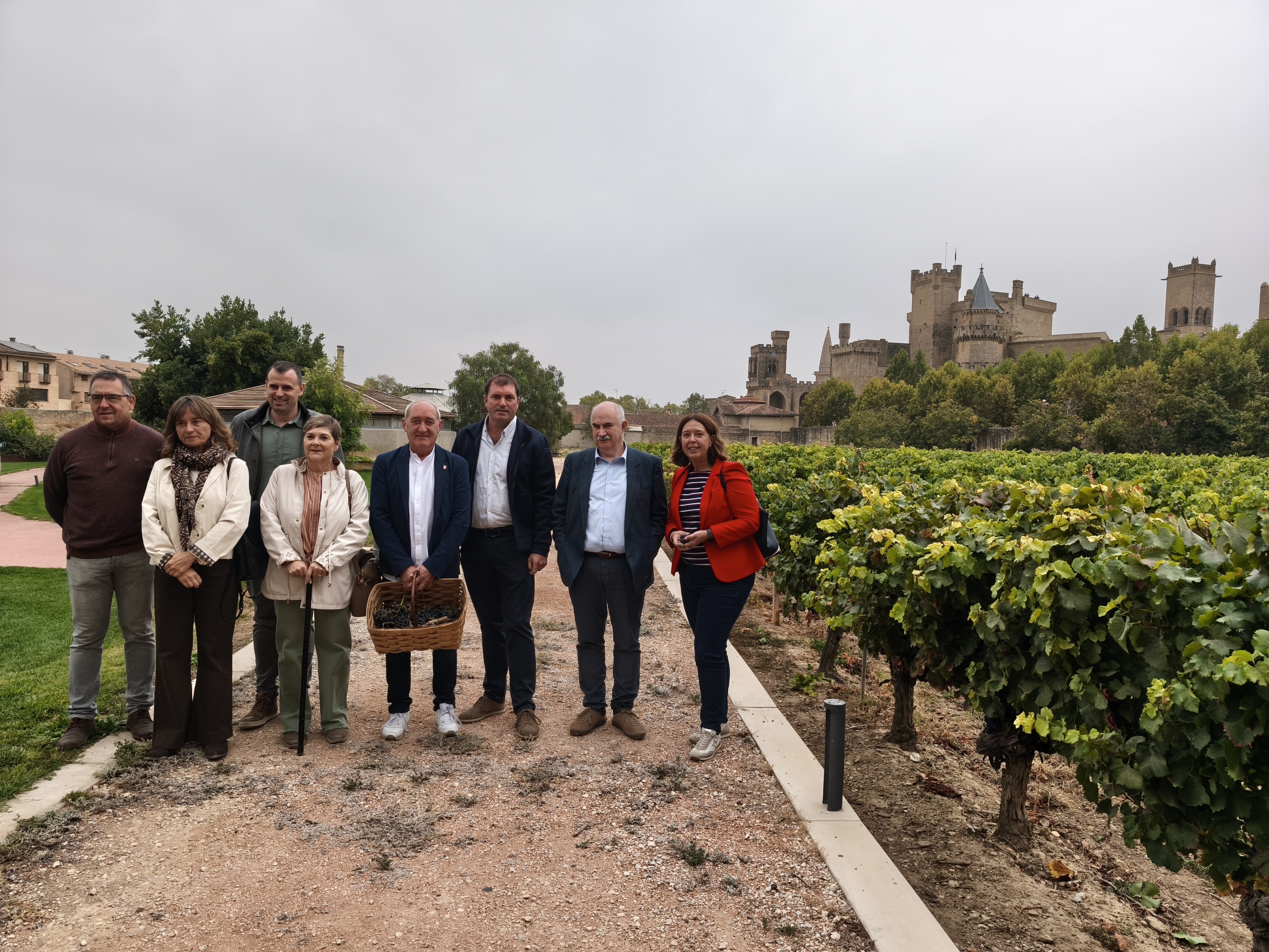 La vendimia de la DO Navarra concluye con un histórico descenso de producción de uva, pero de 