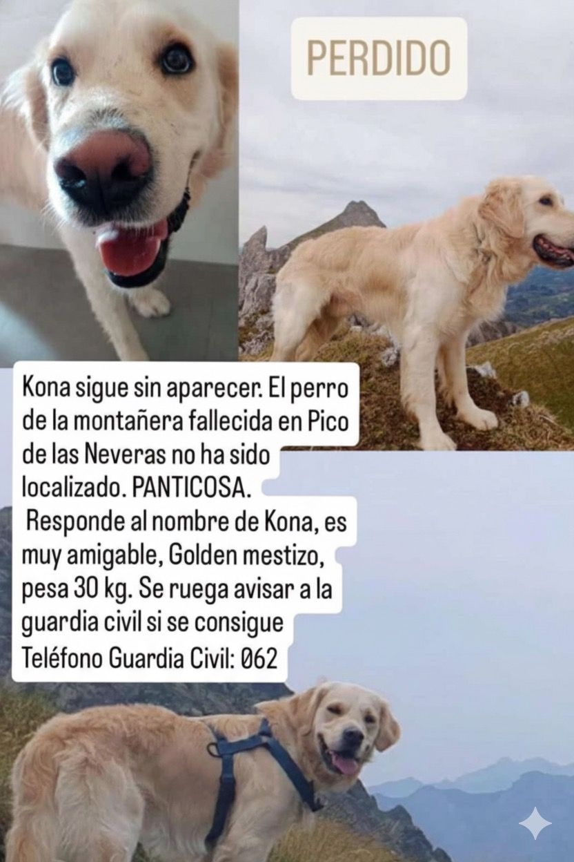 Localizado el cadáver de Kona, el perro de la montañera tudelana fallecida en el Pico de las Neveras (Huesca)