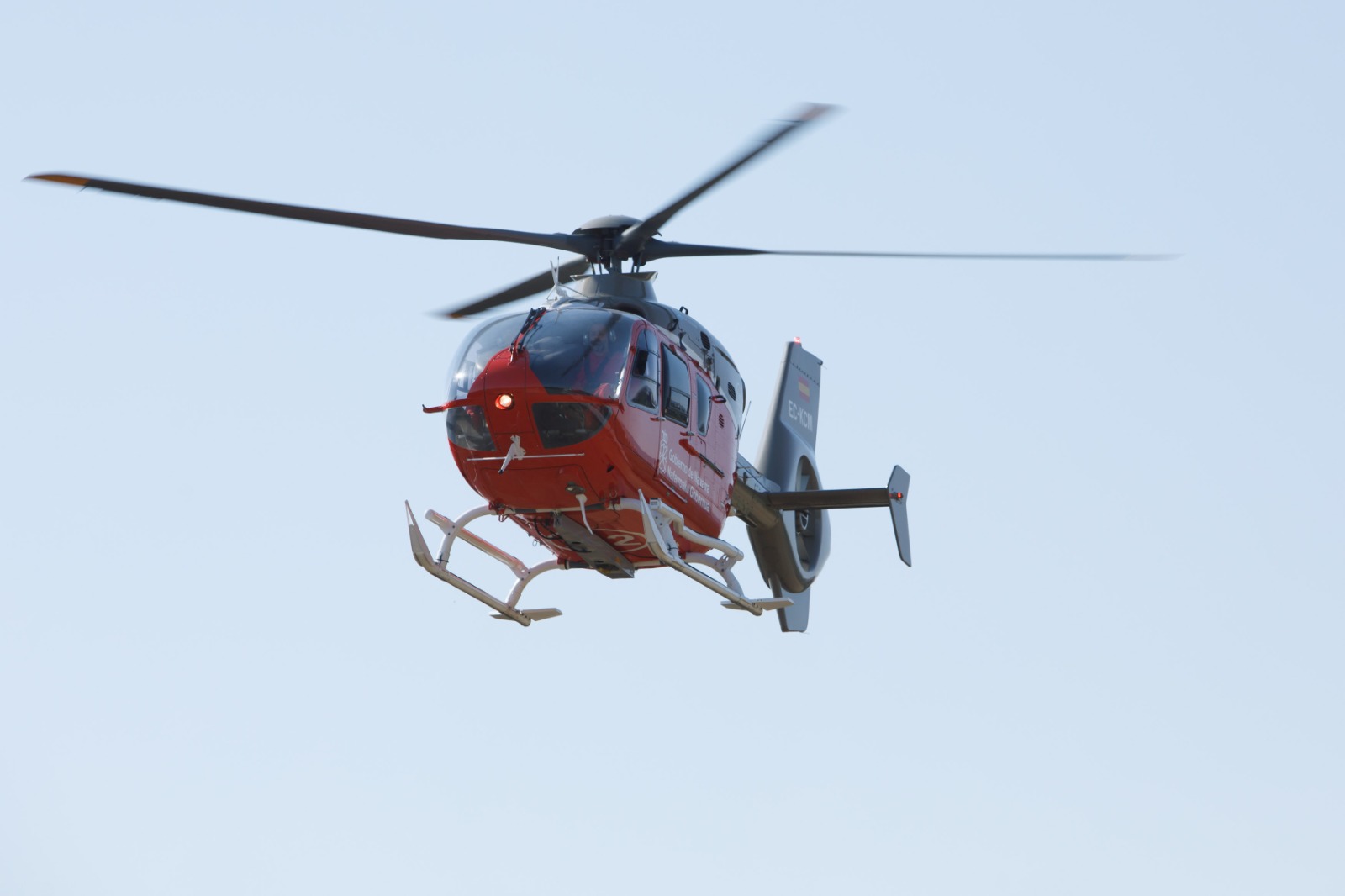 Fallece un trabajador de 62 años tras ser golpeado por una rama mientras realizaba labores de tala en Iturmendi