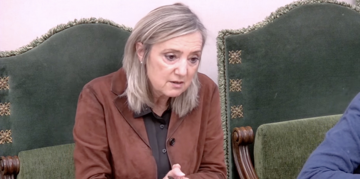 UPN exige la dimisión de Endika Alonso tras admitir que desconoce si hubo refuerzo policial en la Carpa
