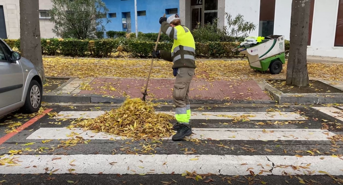 Pamplona refuerza la recogida de hoja y convierte parte del residuo en compost para sus parques