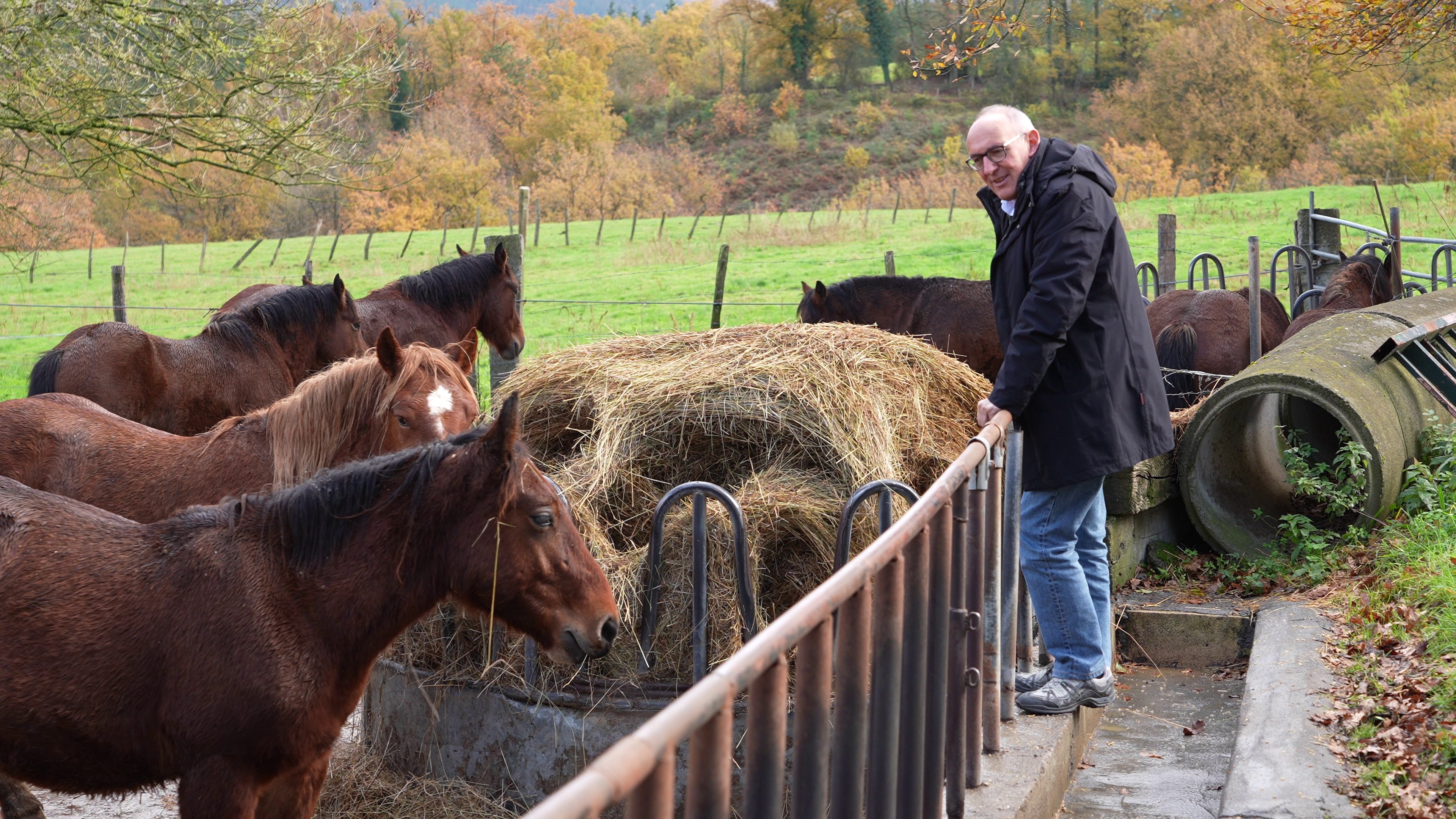 El diputado general de Álava visita el centro de testaje de Lezama para impulsar el potencial del caballo de monte