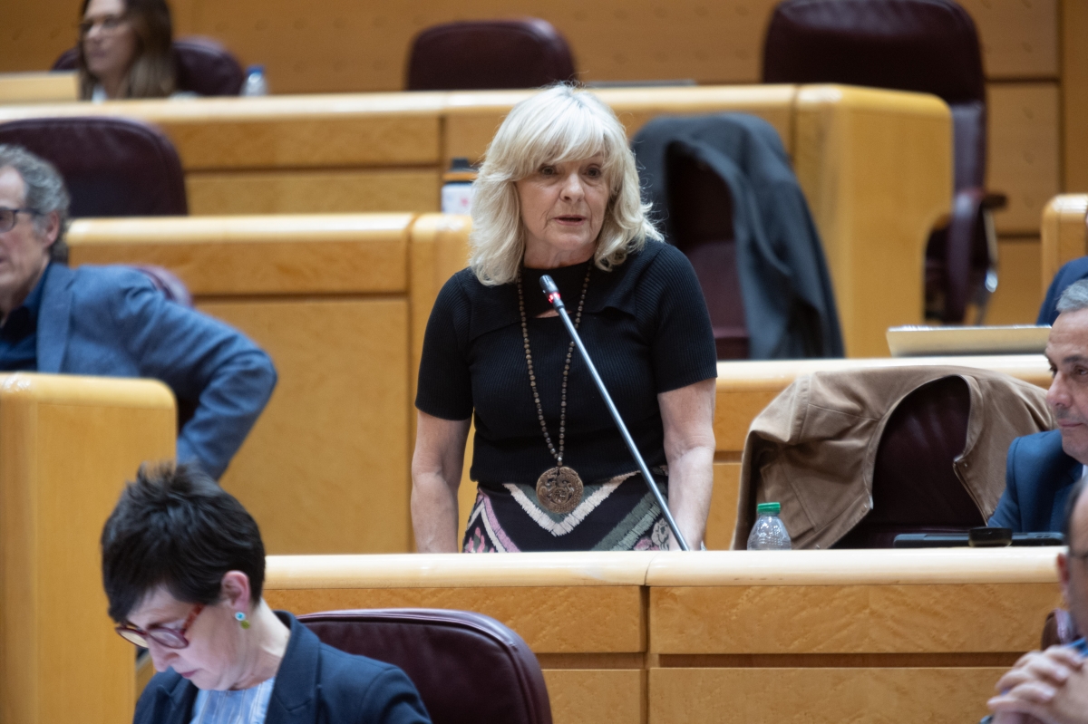 María Caballero (UPN) pide en el Senado la dimisión de Óscar Puente tras los últimos accidentes ferroviarios
