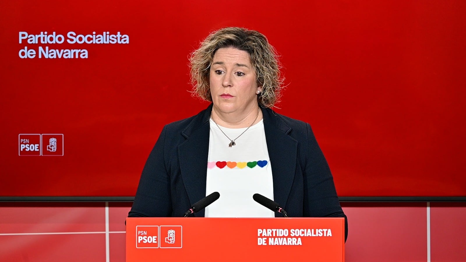 El PSN-PSOE denuncia el deterioro del debate político en Navarra 