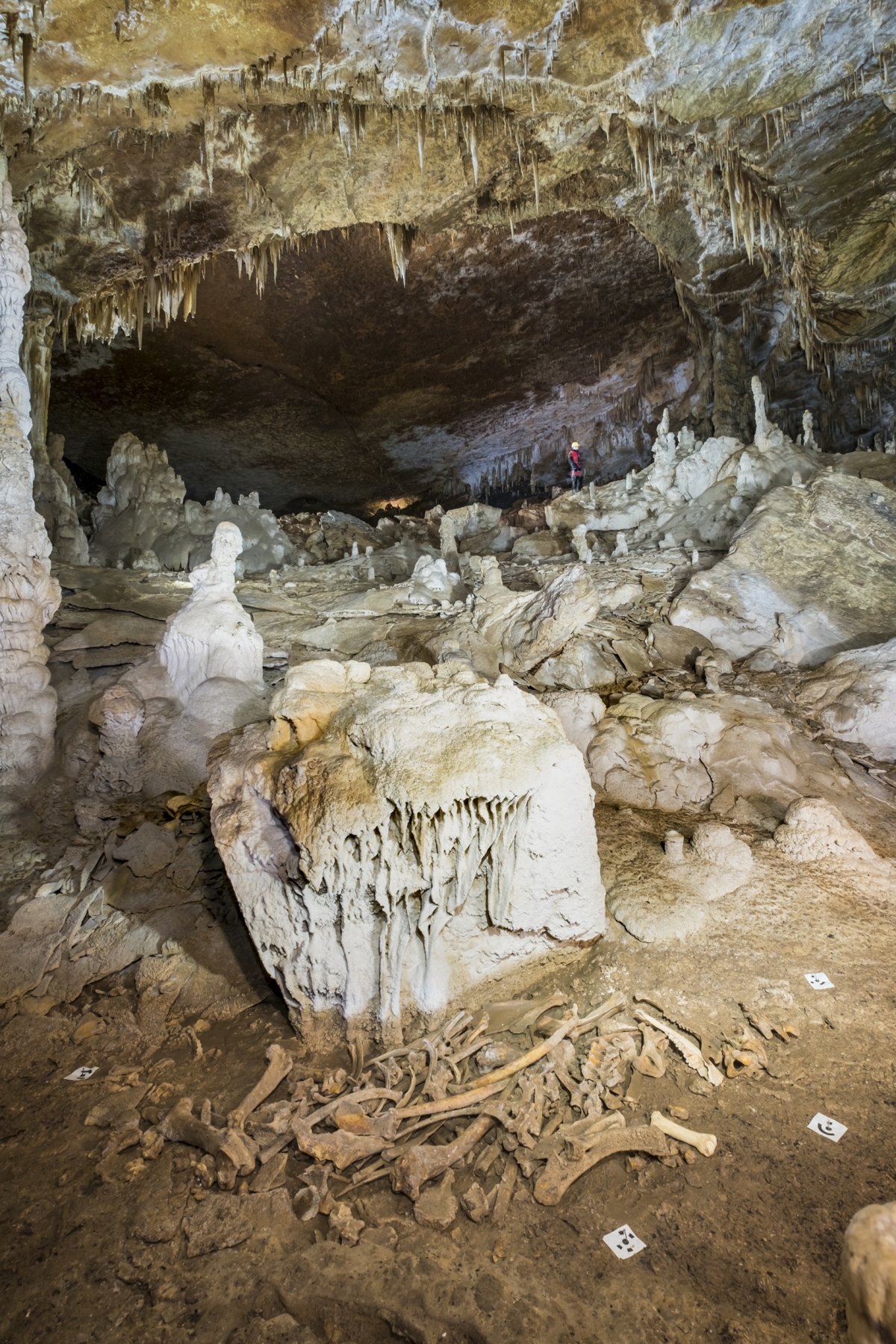 Hallan un esqueleto de bisonte de hace unos 4.000 años en Urbasa