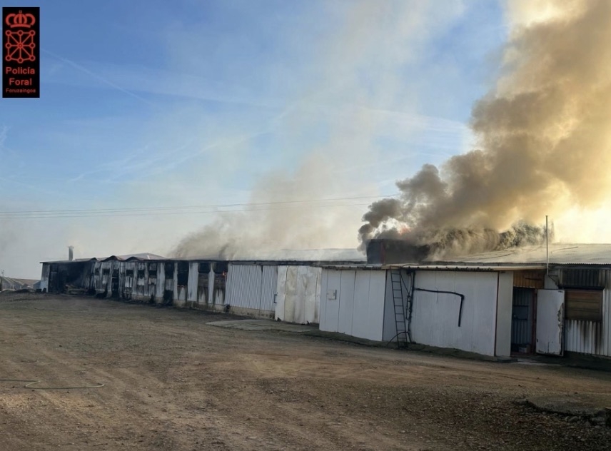 Un incendio en una granja avícola de Villafranca deja unos 10.000 pollos muertos