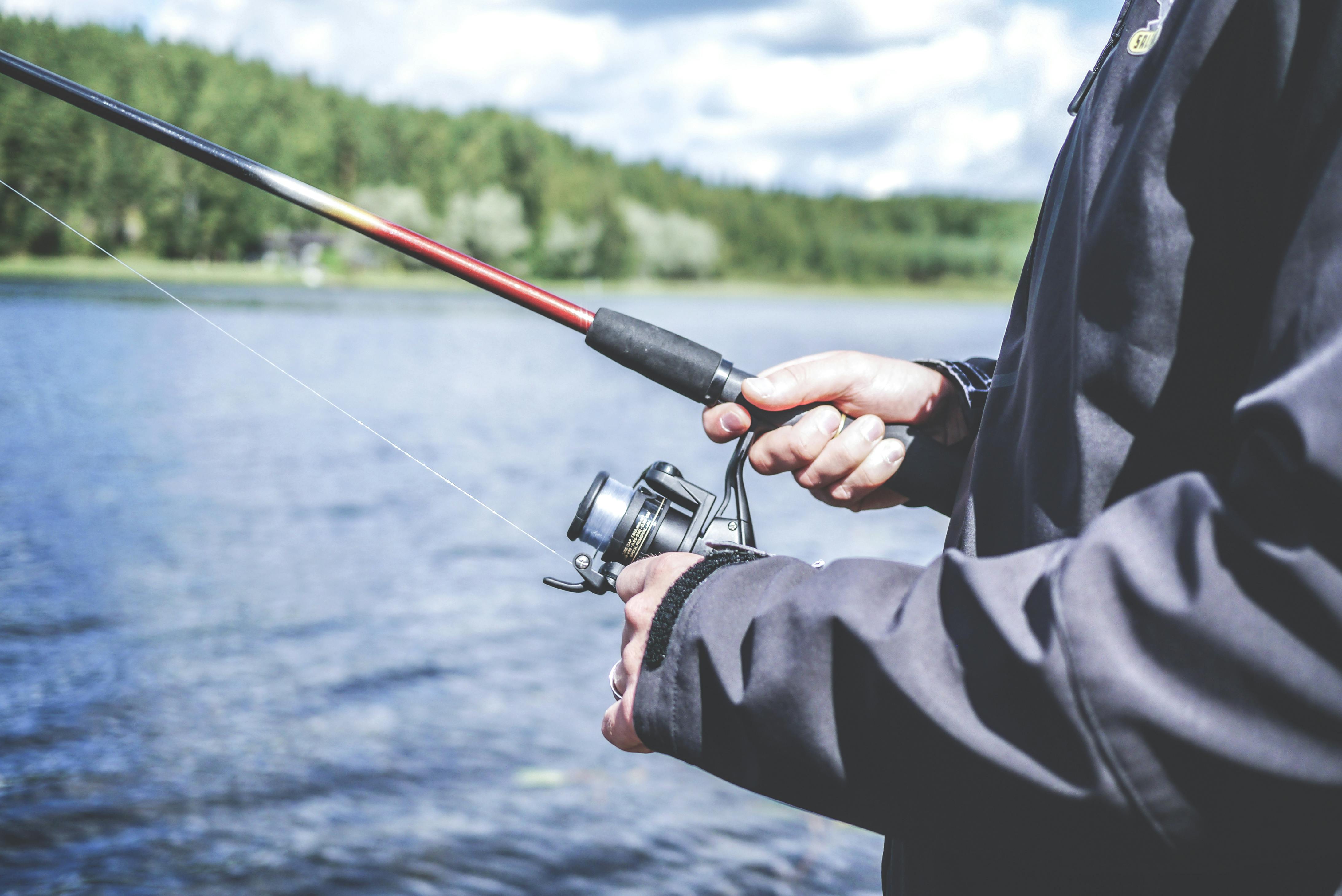 Medio Ambiente publica las vedas de pesca para 2026