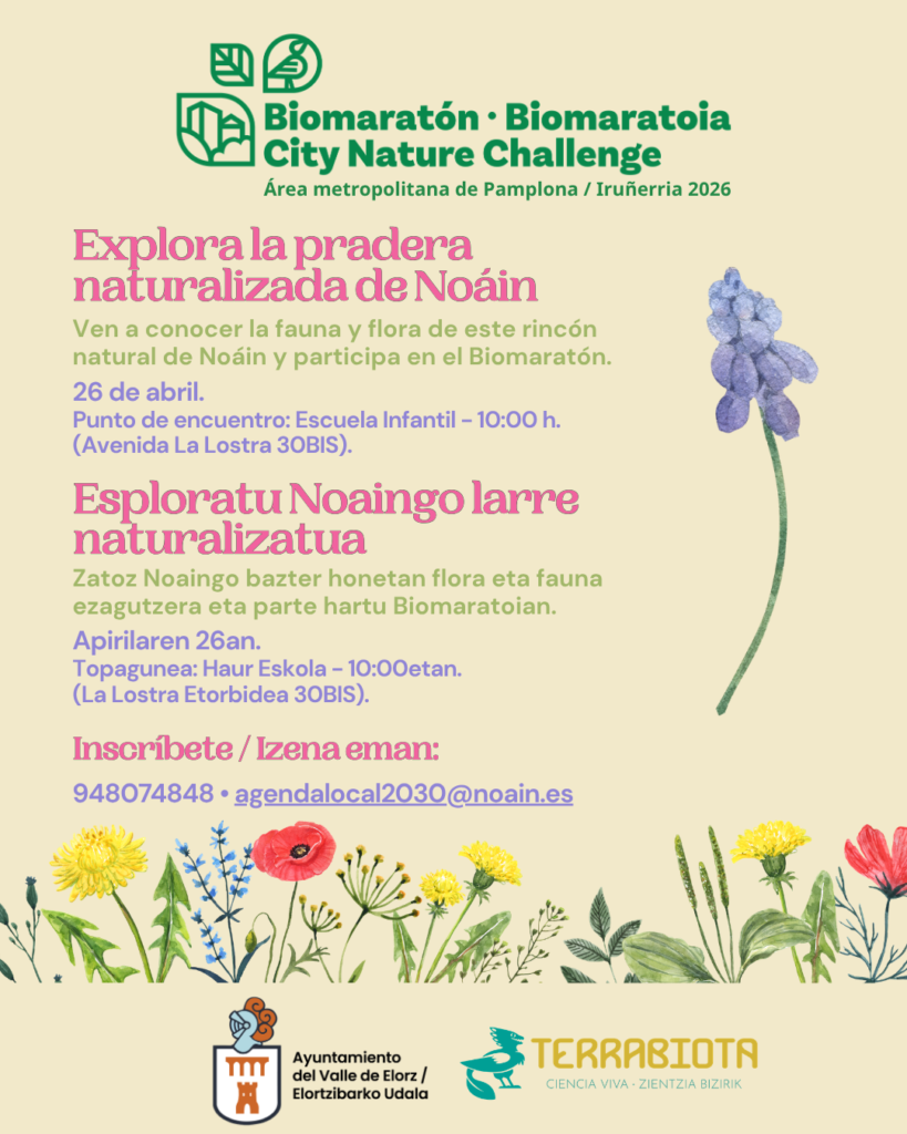 Pamplona y su comarca se suman al Biomaratón internacional para registrar la biodiversidad urbana