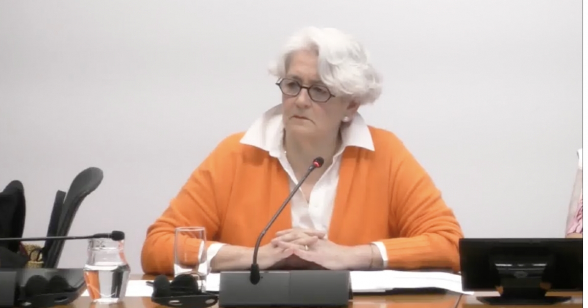 Lourdes Goicoechea regresa al Parlamento y sitúa a Mina Muga en una tramitación “estrictamente administrativa