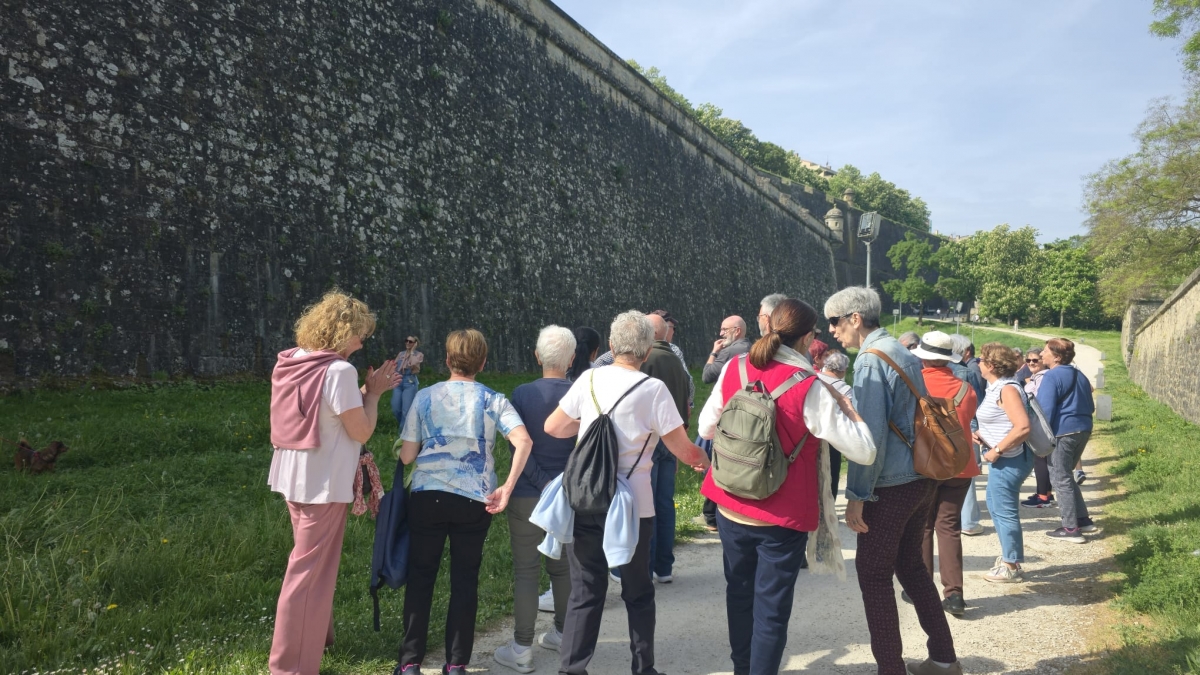 Pamplona celebra el Día del Camino de Santiago con una marcha de cuatro kilómetros hasta la Universidad de Navarra
