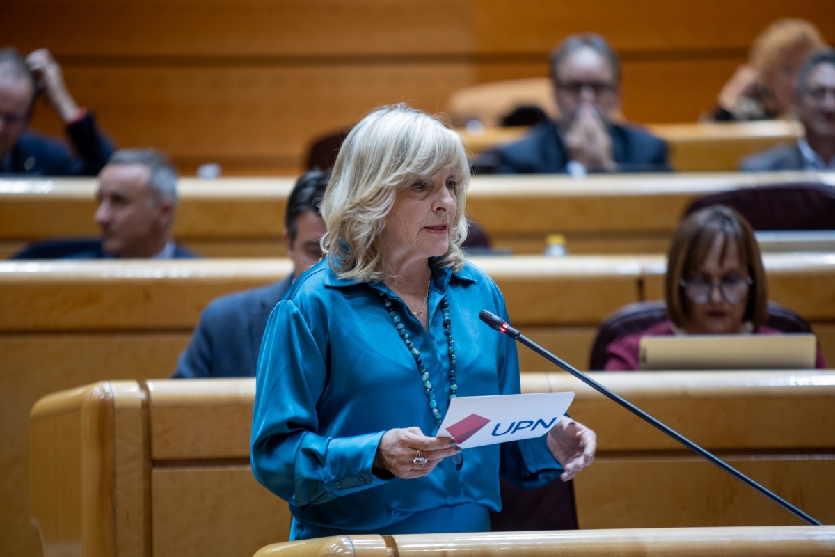 UPN exige en el Senado que se actúe contra los homenajes a etarras en eventos populares 
