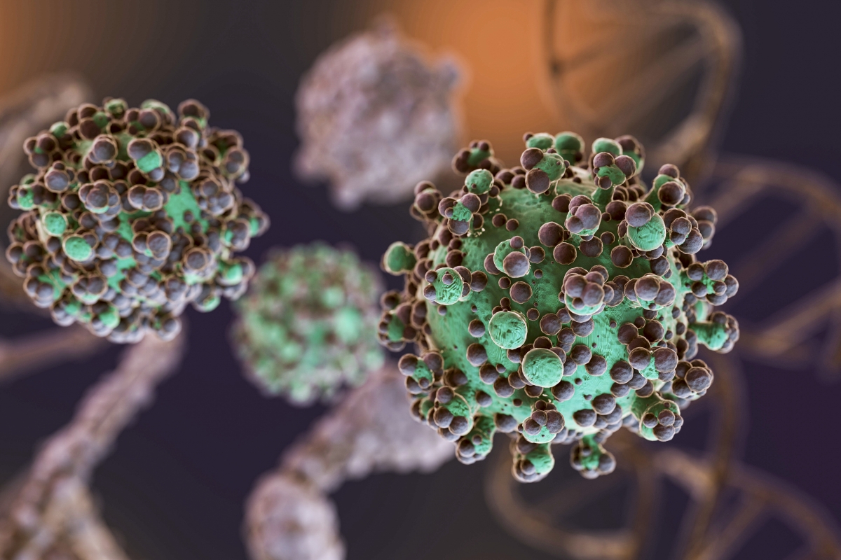 La gestión del hantavirus en España pone en evidencia las carencias en los protocolos de información y salud pública