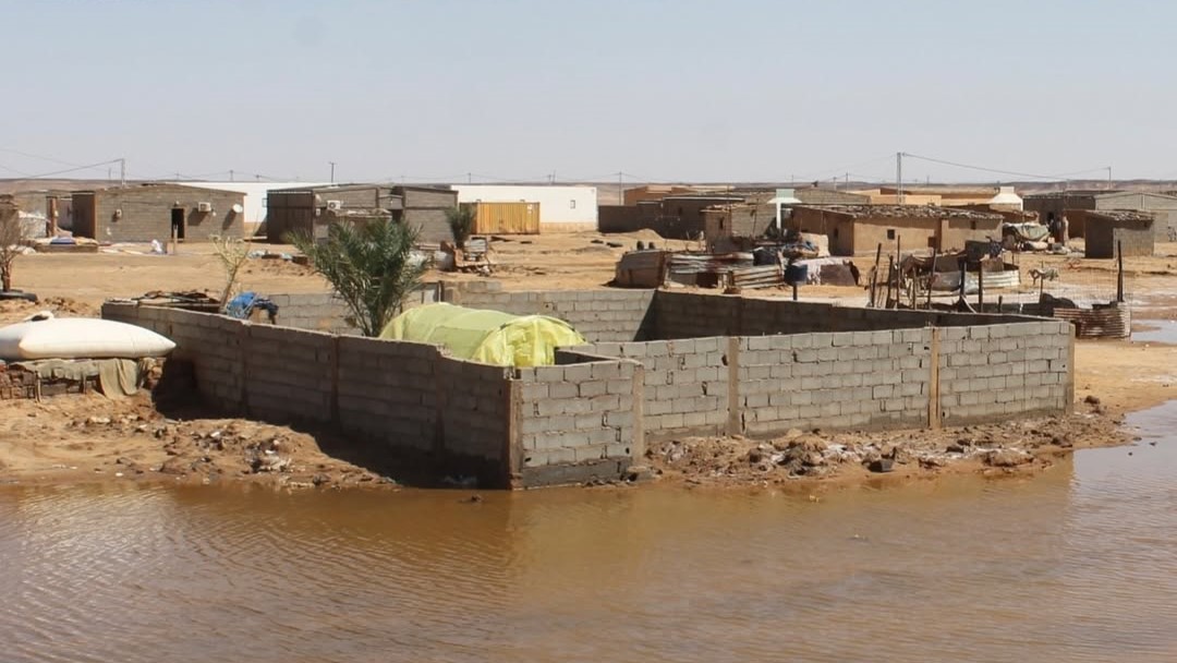 Álava envía ayuda humanitaria de emergencia al campamento saharaui de Dajla tras las inundaciones en Argelia