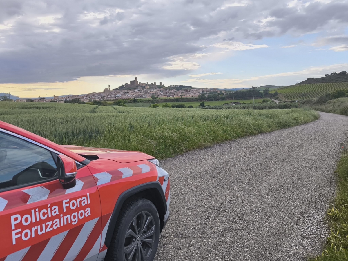 Policía Foral atiende 35 accidentes de tráfico en Navarra y detiene a tres conductores por delitos viales