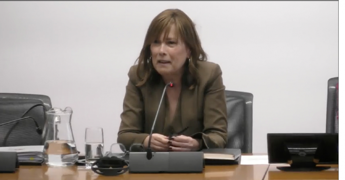 Barkos ante la comisión: 