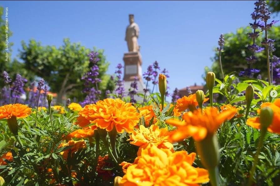 Calahorra inicia la campaña de plantación de primavera con más de 11.000 flores para embellecer la ciudad