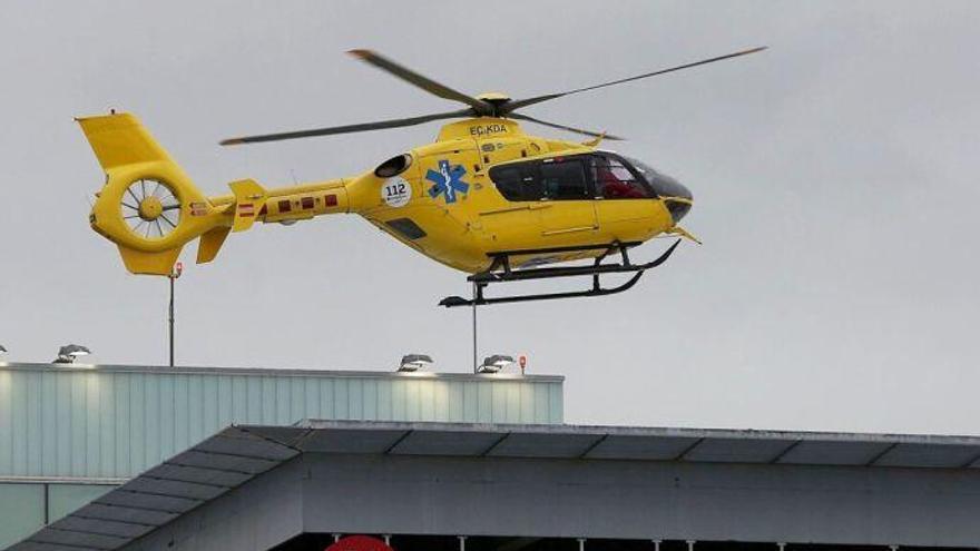 Un hombre, de 57 años, herido grave tras caer de un árbol en Viana
