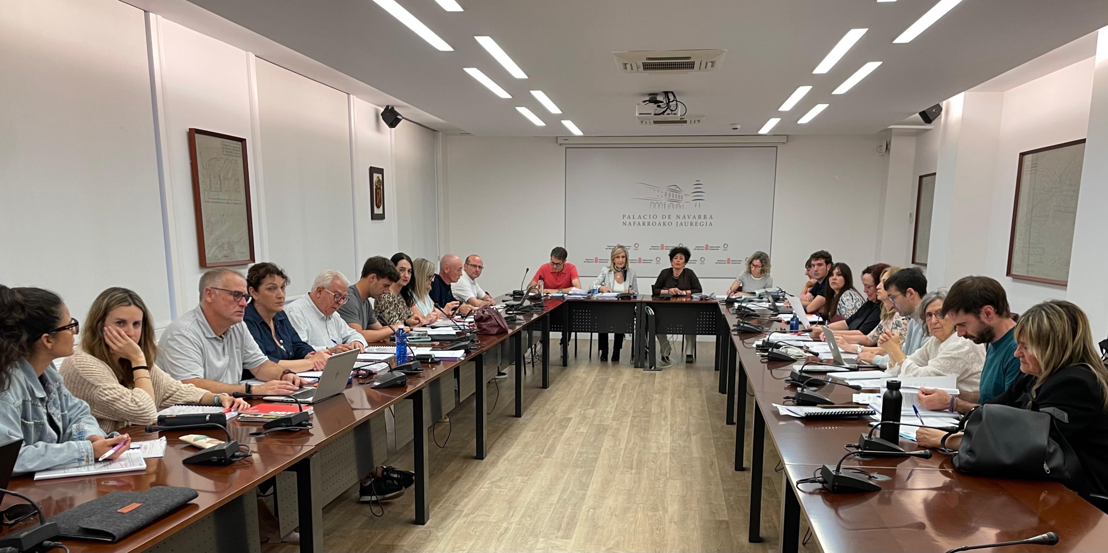 El anteproyecto del nuevo estatuto del personal público de Navarra contempla la carrera profesional retribuida
