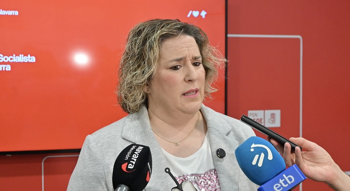 El PSN acusa al PP de "situarse del lado de los buitres" por recurrir ante el Constitucional la ley navarra que blinda la VPO de alquiler