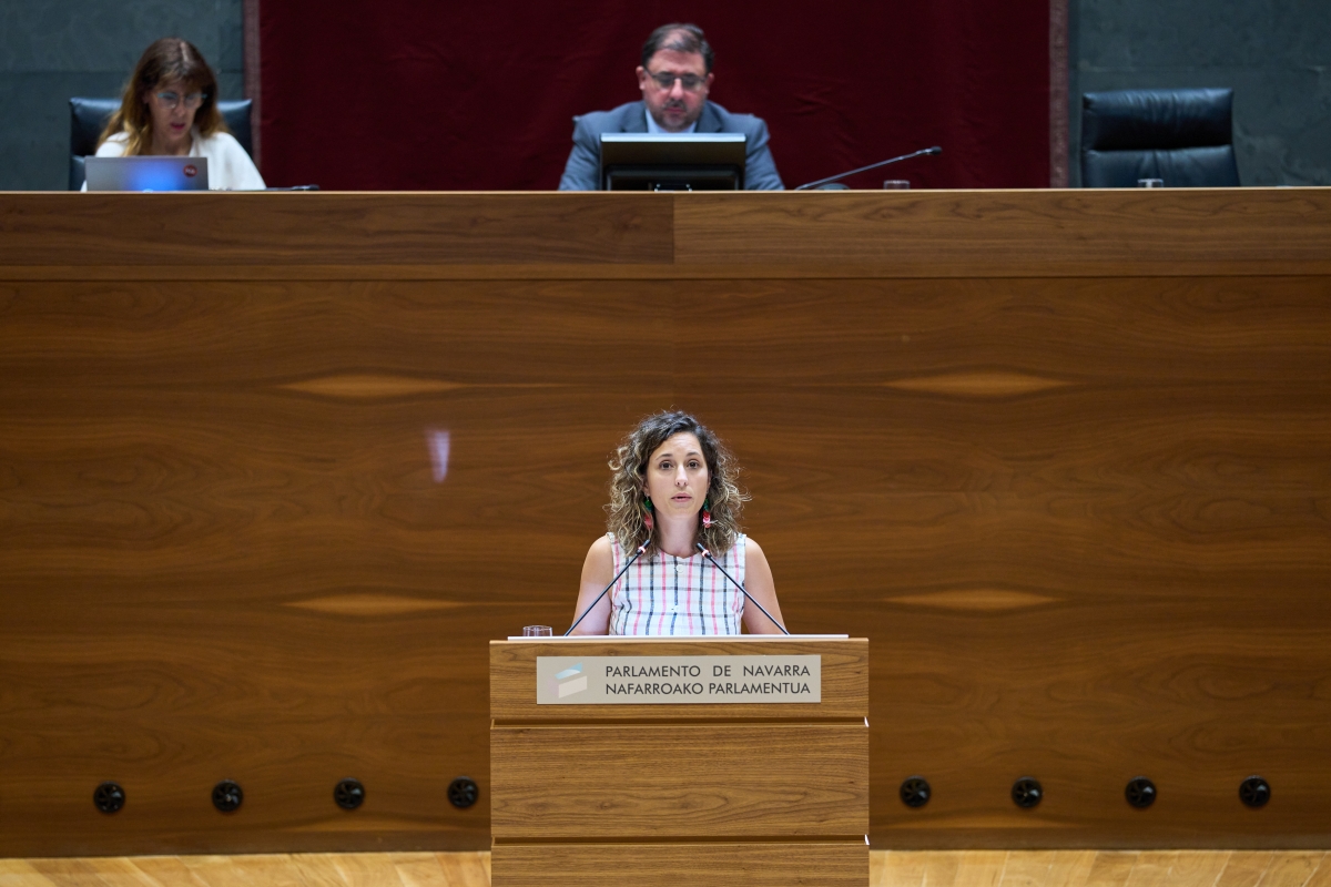 El Parlamento Foral aprueba una resolución sobre los Sanfermines del 78 aunque rechaza pedir responsabilidad de Estado