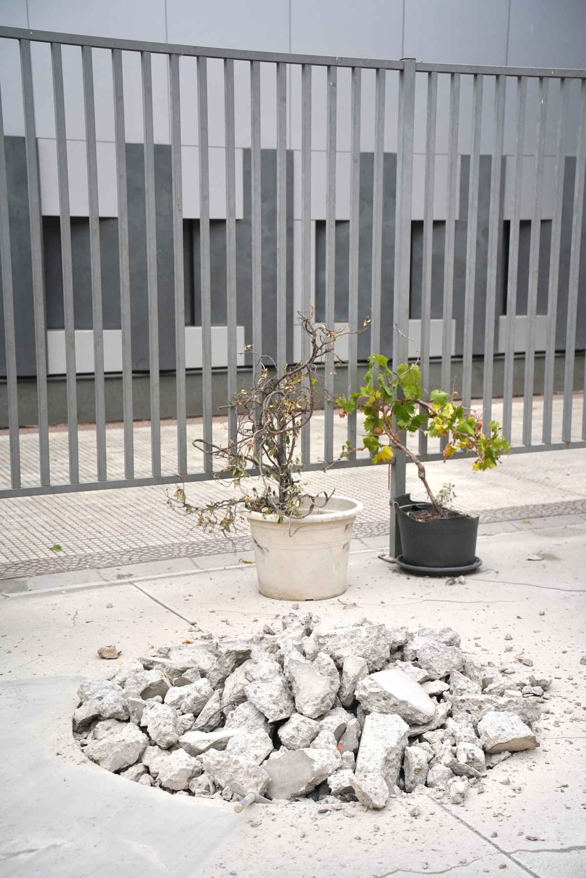 La Plaza de los Cuentos de Logroño se transforma en una isla climática con huerto urbano y nebulizadores