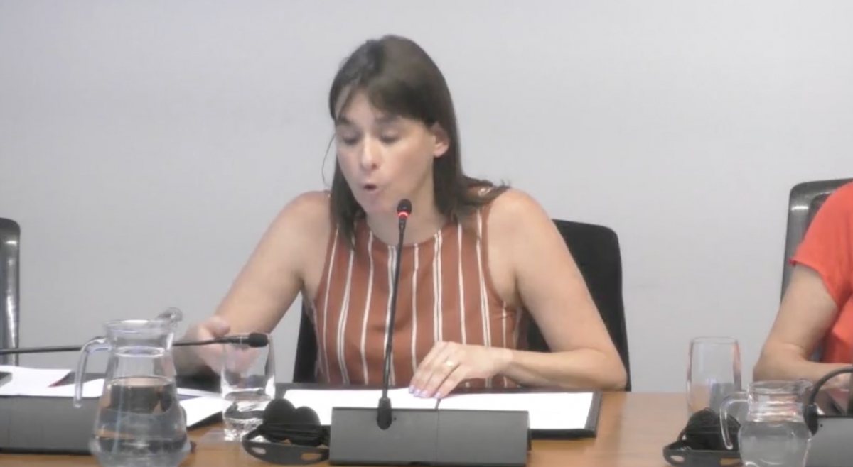 La consejera Alfaro defiende ante el Parlamento el estudio foral sobre juventud e inmigración 
