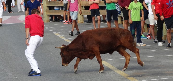 Berriozar busca voluntarios para colaborar en la suelta de vaquillas de sus fiestas patronales