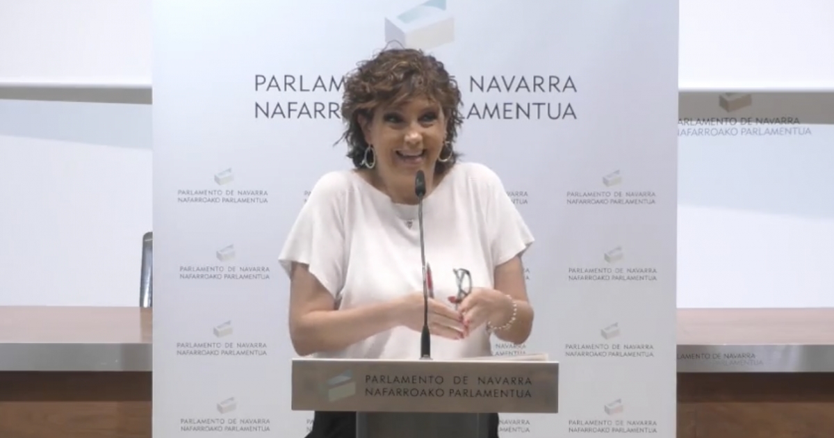 El PSN-PSOE recibe con tranquilidad la decisión sobre los túneles de Belate y pide dejar actuar a la Justicia