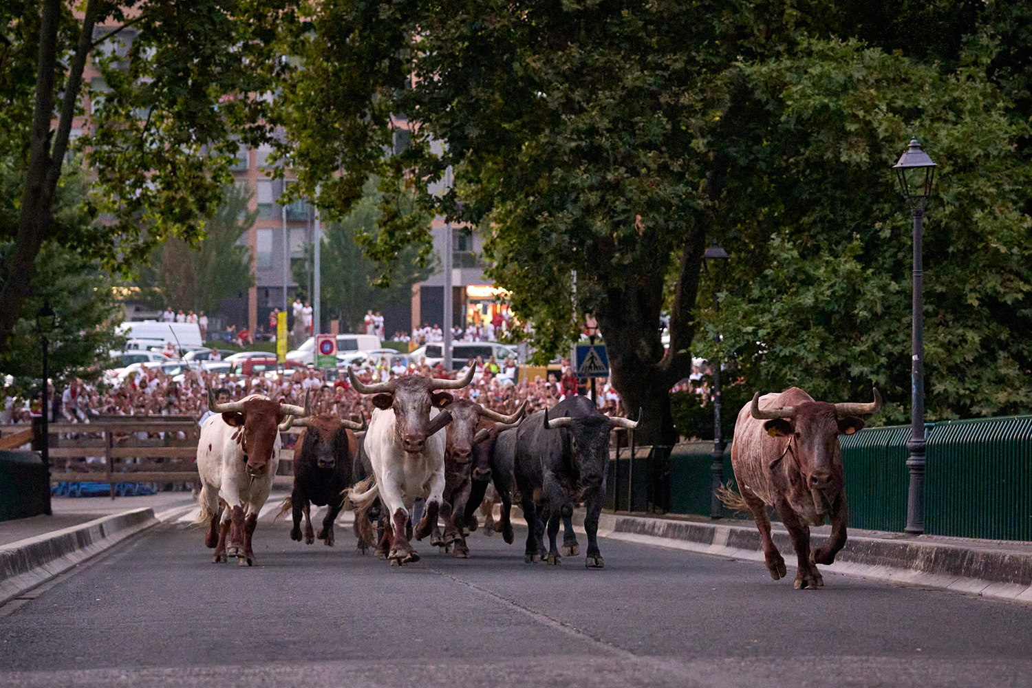 El sorteo de pases del Encierrillo de San Fermín 2026 registra 10.431 solicitudes, 236 más que el año pasado