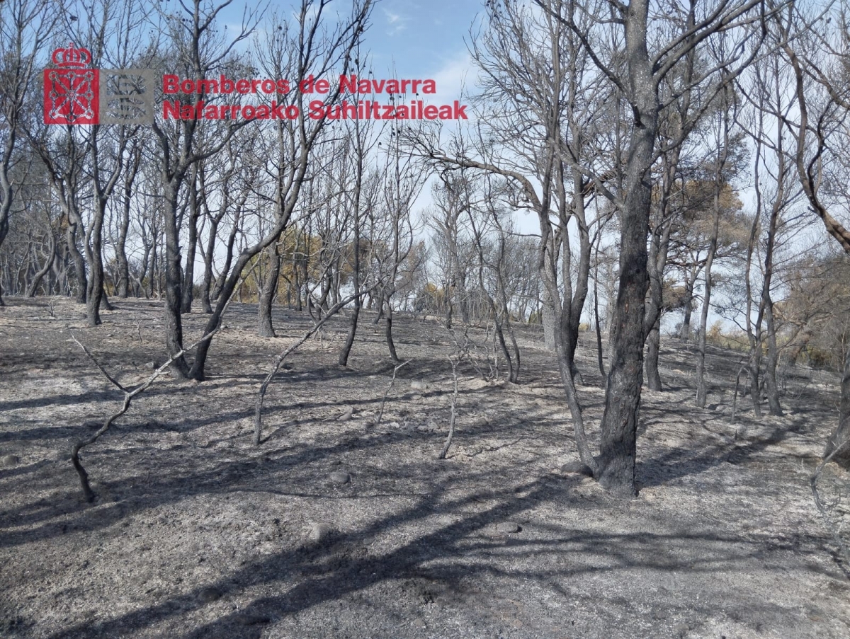 Controlado el incendio forestal de Caparroso tras una noche de trabajos de extinción
