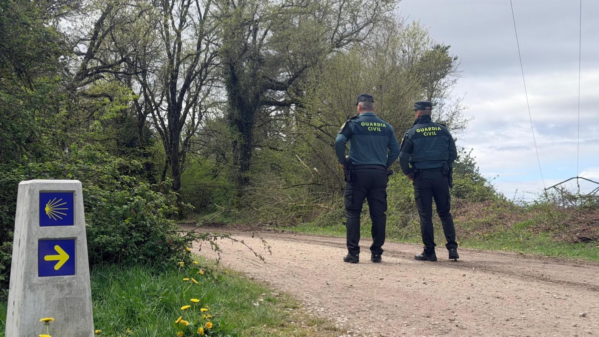 Detienen a una ciudadana italiana en el Camino de Santiago tras agredir a dos agentes y con una navaja