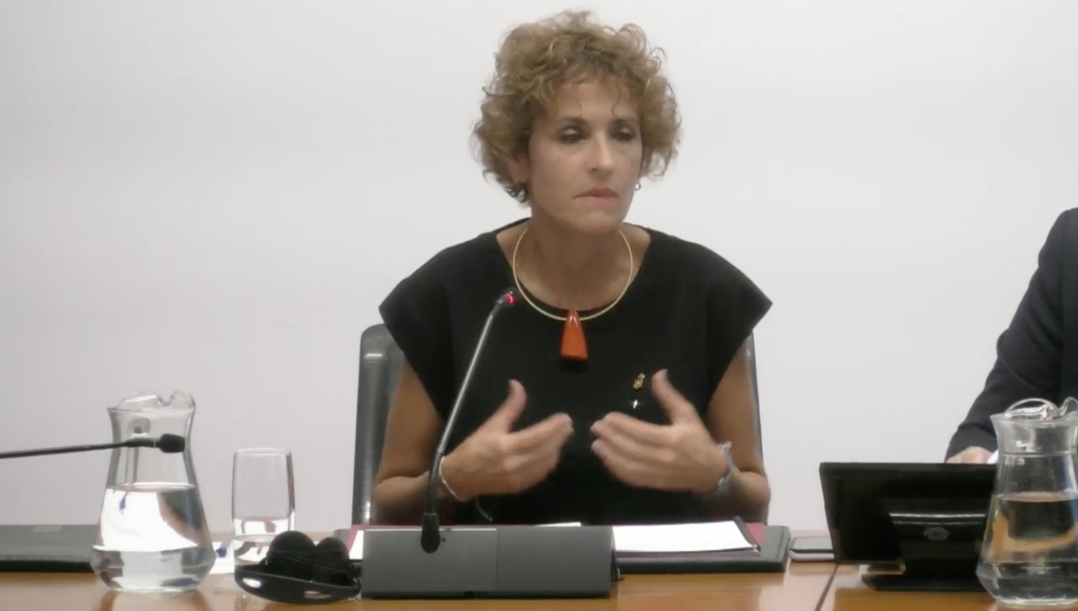 Chivite aclara en la ponencia de la LORAFNA que su propuesta sobre el euskera no implica eliminar la zonificación