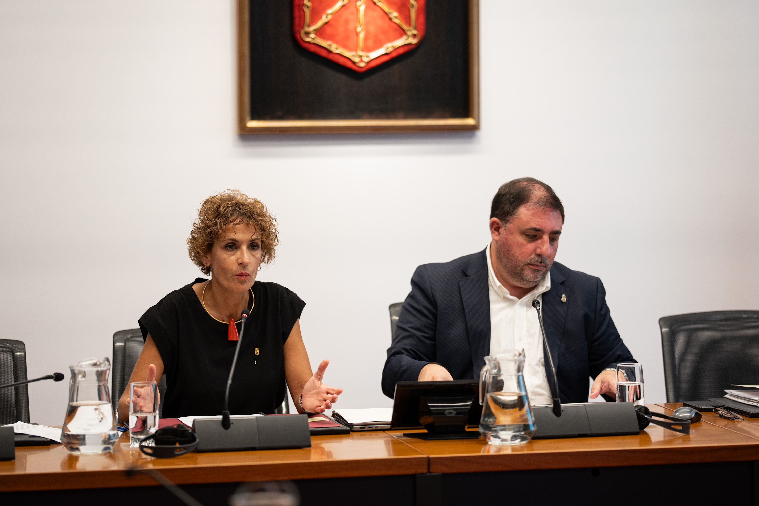 La presidenta propone eliminar límites  sobre el momento en que se puede disolver el Parlamento y convocar elecciones