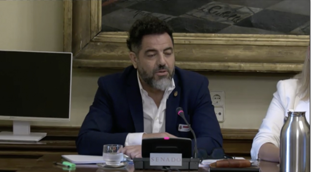 Alzórriz niega ante el Senado haber tenido conocimiento de los vínculos de Cerdán con Servinabar pese a ser 