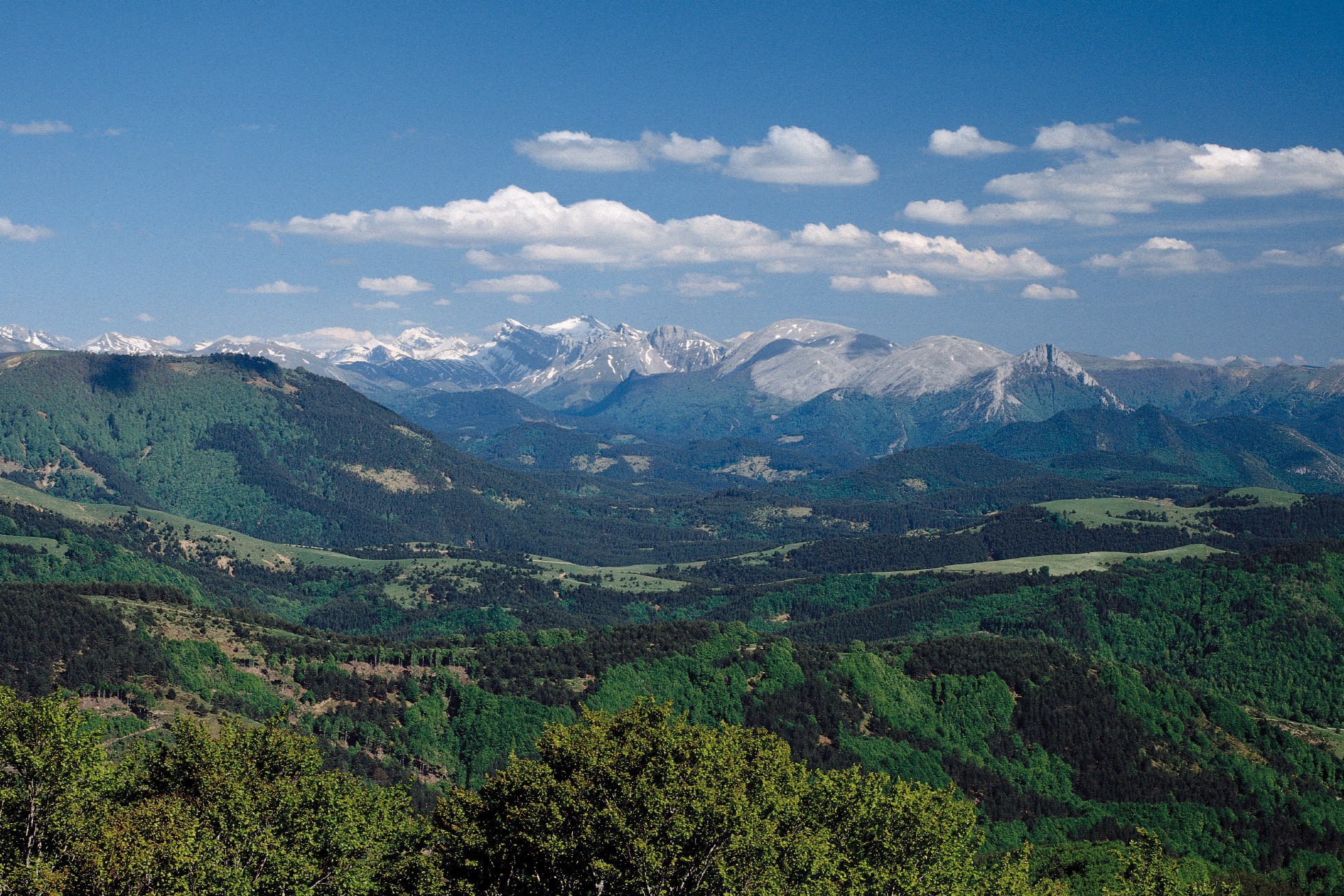 Navarra incrementa las ayudas para la gestión del patrimonio forestal