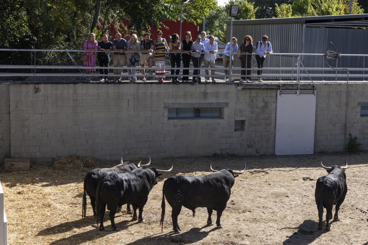 La Corporación municipal visita los Corrales del Gas 