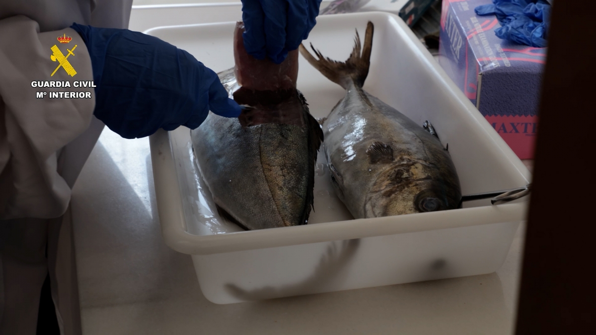 Detienen a dos personas por introducir pescado robado con medicamentos en el circuito comercial